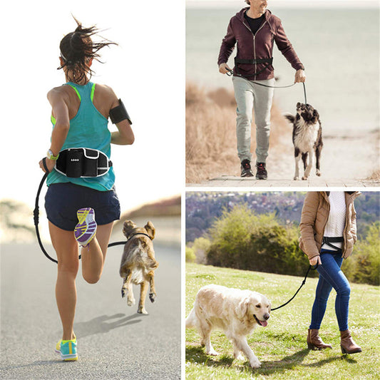 Sac de ceinture pour chien