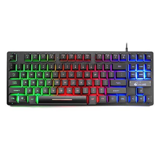 Clavier Mécanique USB 87 Touches