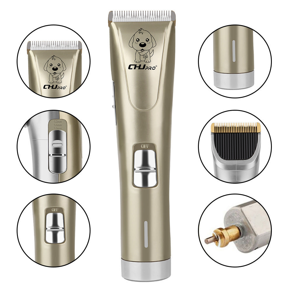 Tondeuse Professionnelle pour Animaux