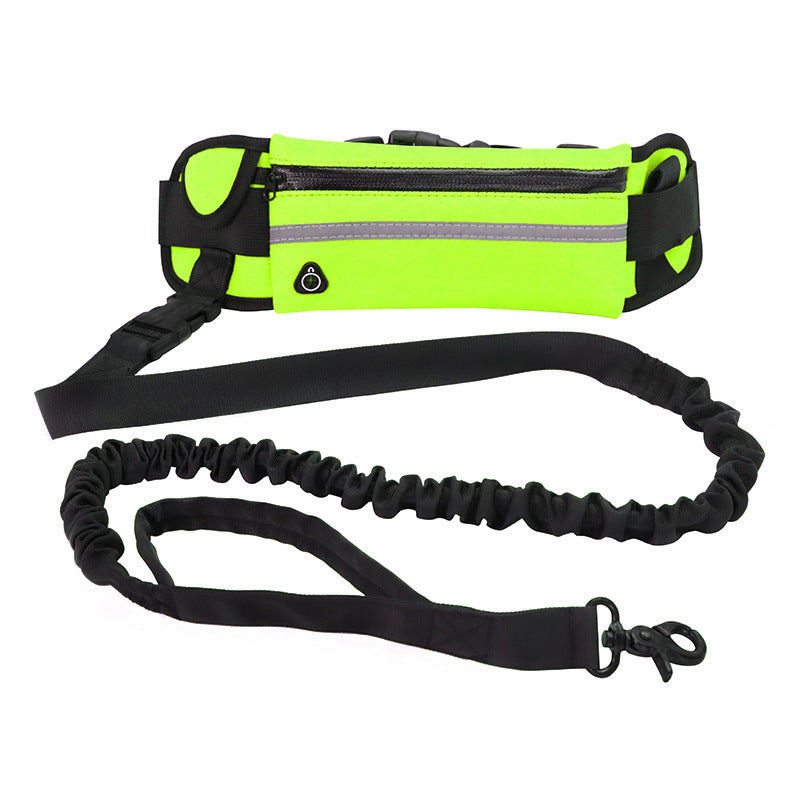 Laisse Mains Libres avec Ceinture Réglable