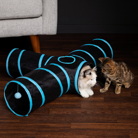 Tunnel Pliable pour Chat