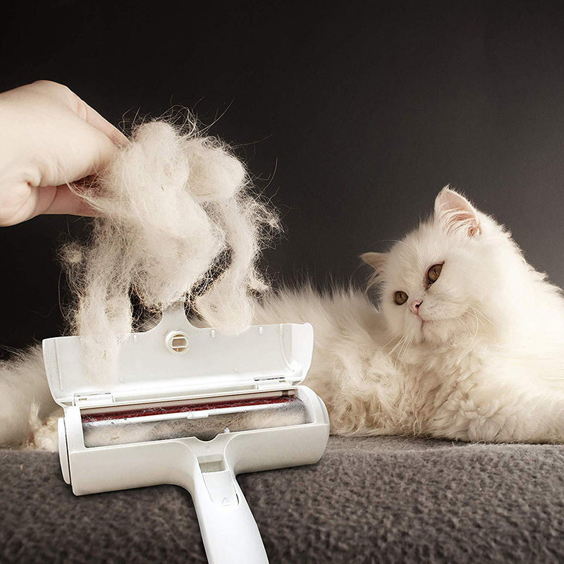 Brosse Anti-Poils Réutilisable