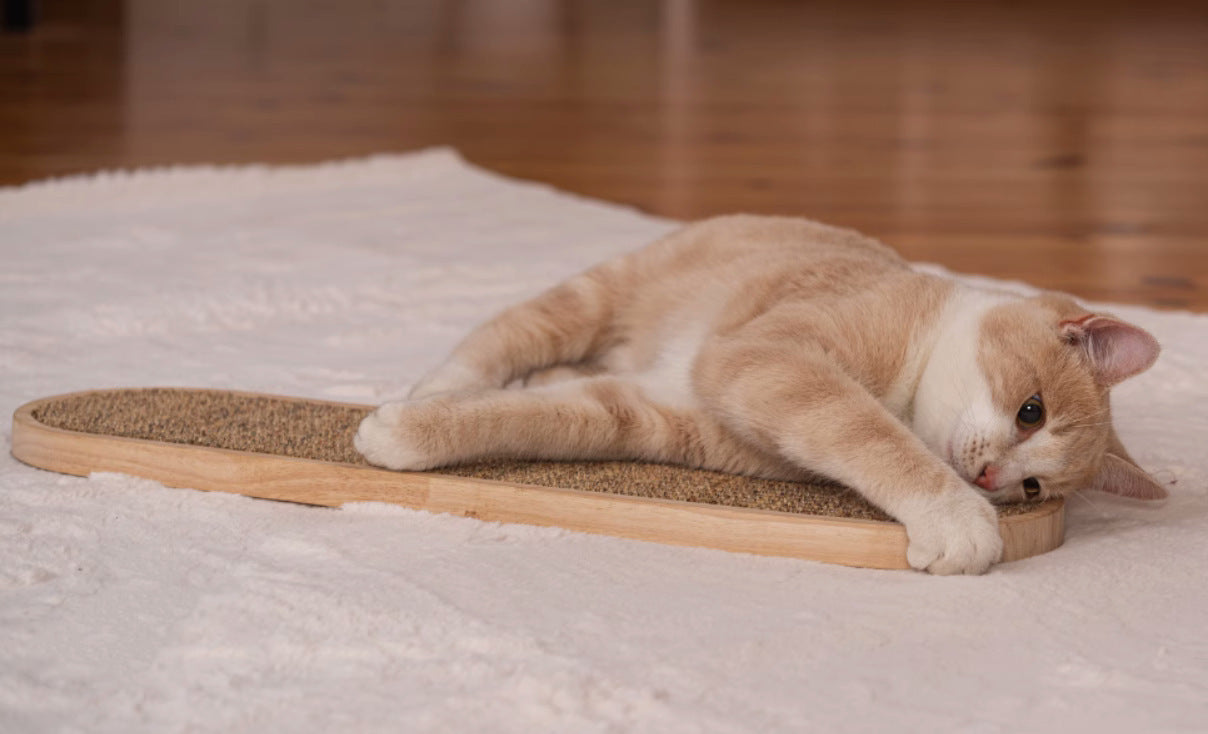 Tapis Griffoir Suspendu en Chanvre pour Chat