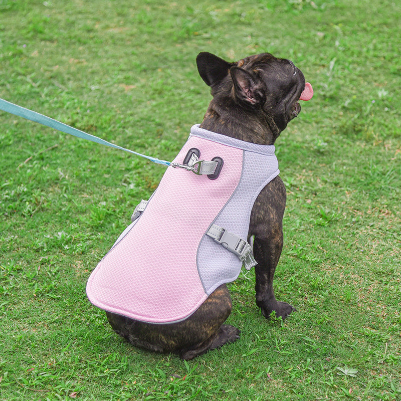 Gilet Rafraîchissant Respirant pour Chien