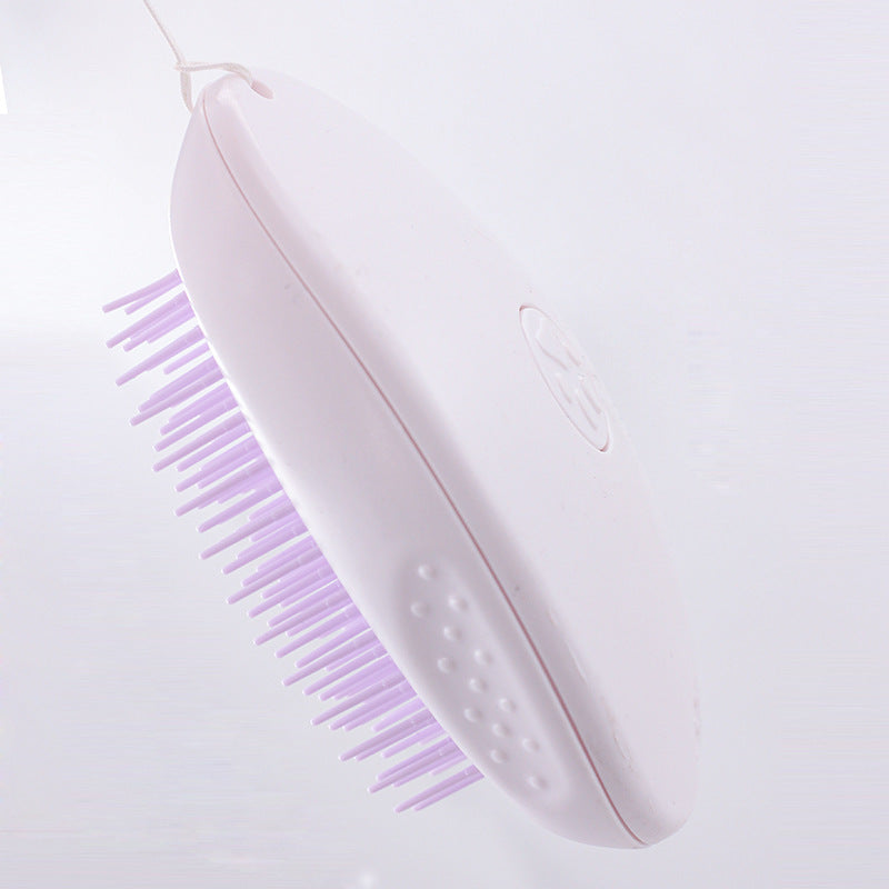 Brosse de Toilettage