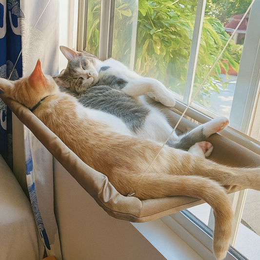 Hamac de fenêtre pour chat