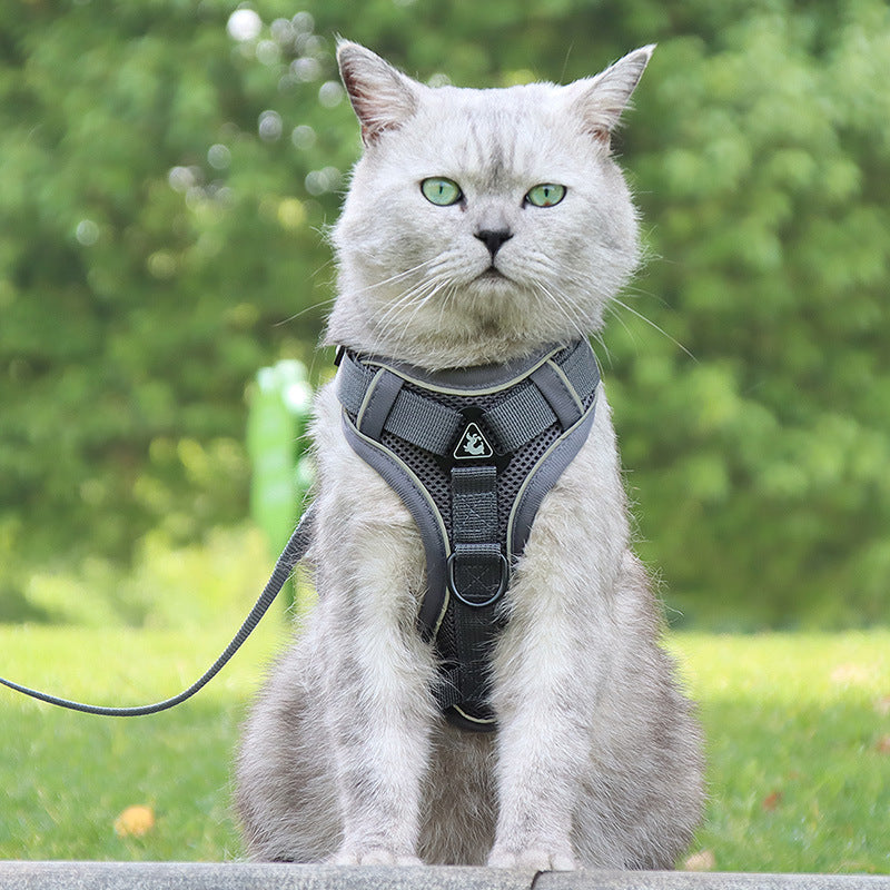 Harnais Antifuite pour Chats avec Laisse