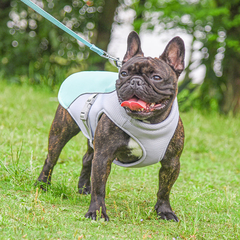 Gilet Rafraîchissant Respirant pour Chien