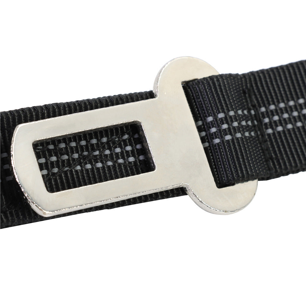 Laisse élastique pour chien avec poignée rembourrée