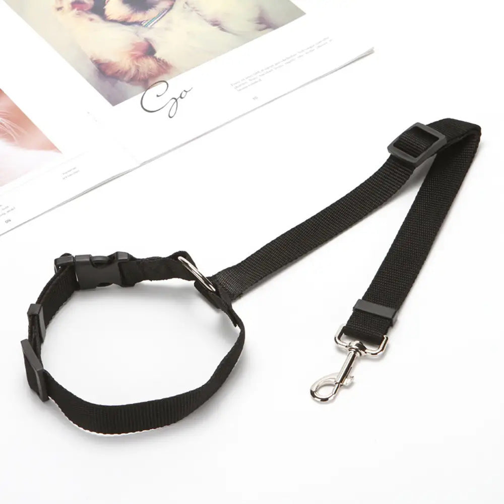 Ceinture de Sécurité pour Animaux