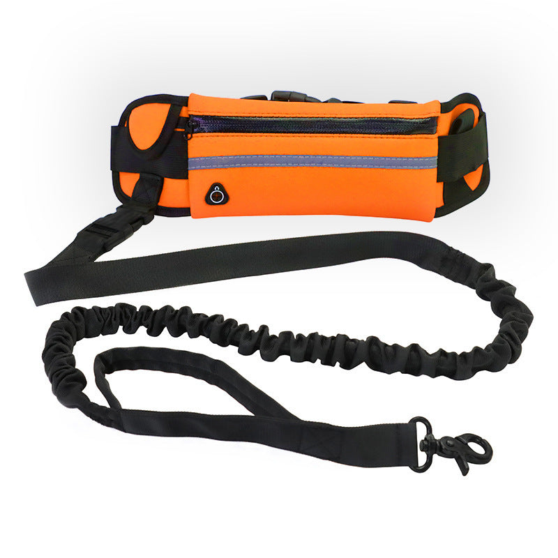 Laisse Mains Libres avec Ceinture Réglable