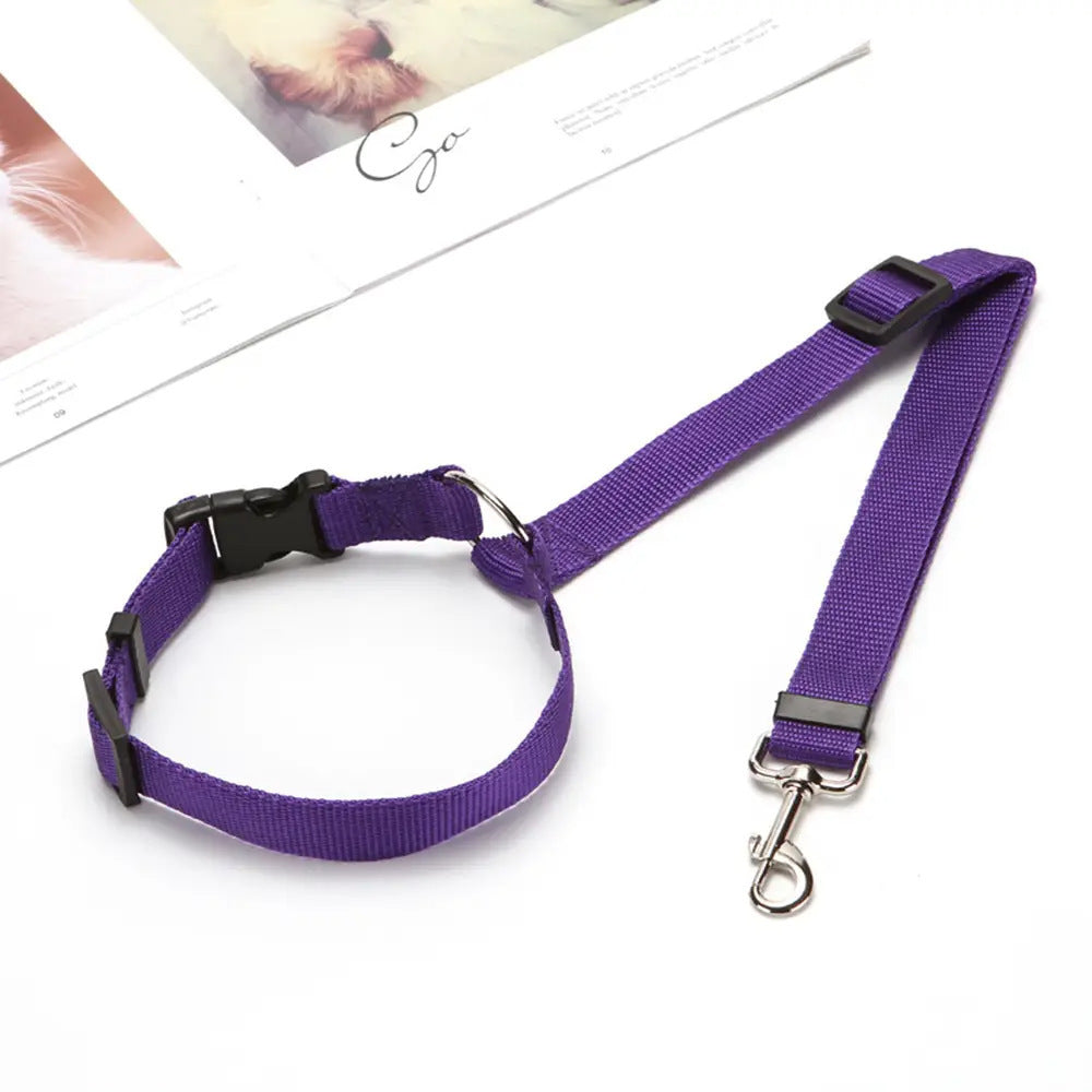 Ceinture de Sécurité pour Animaux