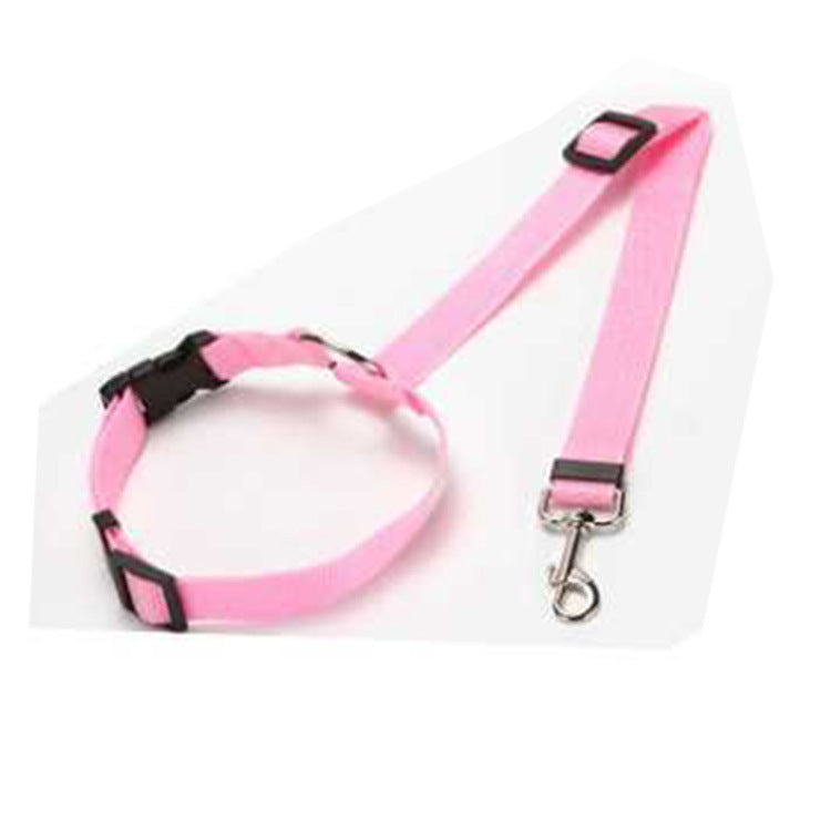 Ceinture de Sécurité pour Animaux