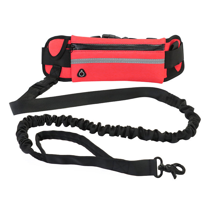 Laisse Mains Libres avec Ceinture Réglable