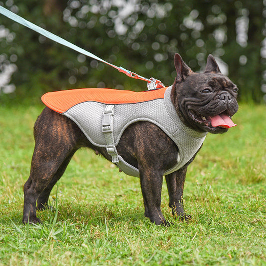 Gilet Rafraîchissant Respirant pour Chien