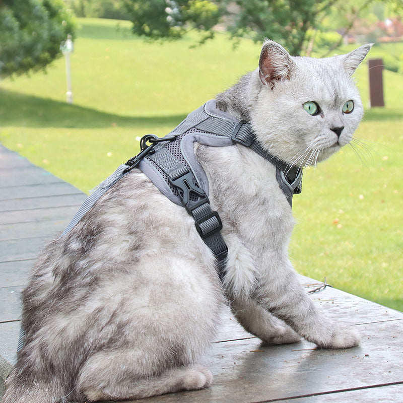 Harnais Antifuite pour Chats avec Laisse