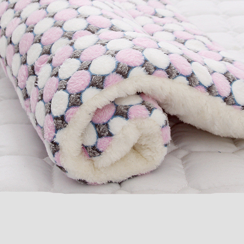 Couverture épaissie pour chiens et chats
