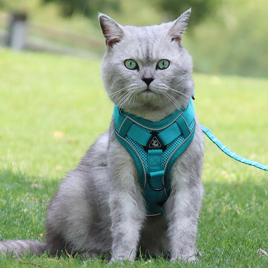 Harnais Antifuite pour Chats avec Laisse