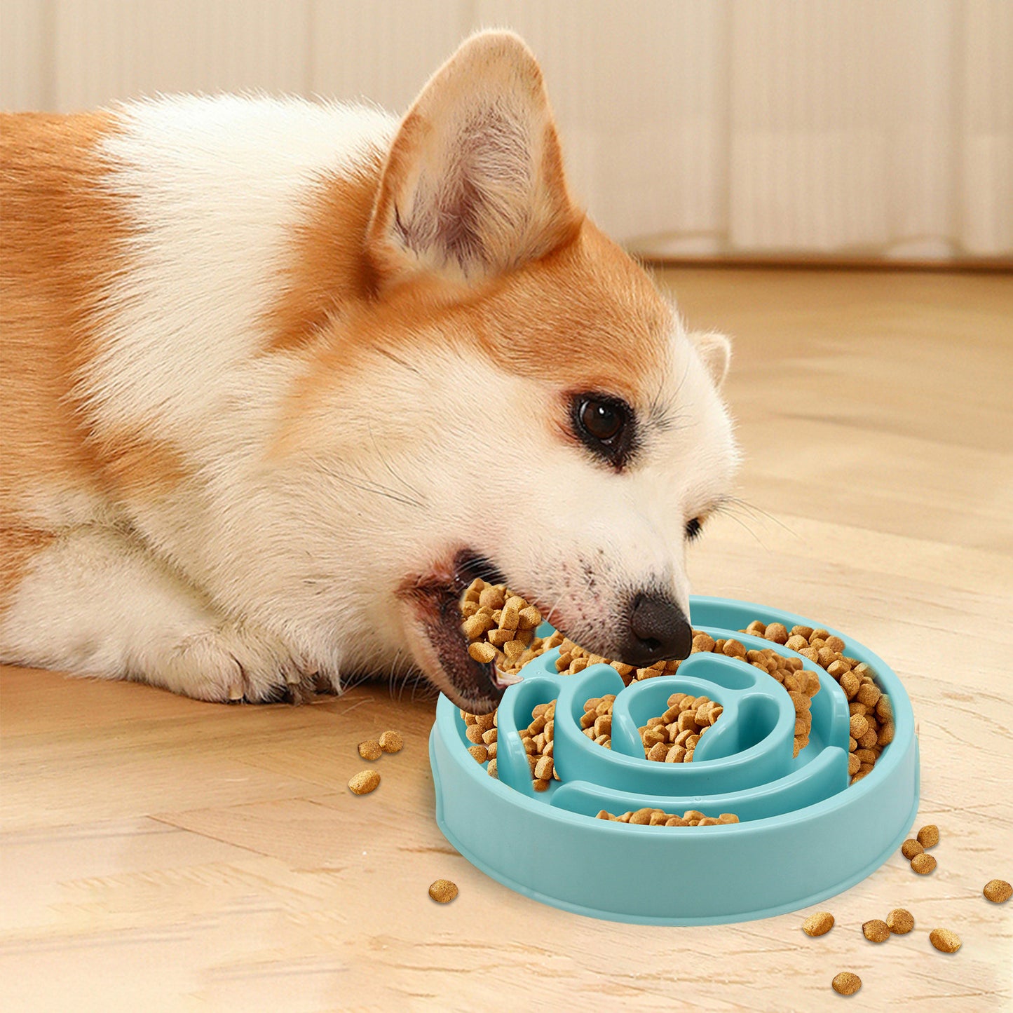 Gamelles pour chien et chat à alimentation lente