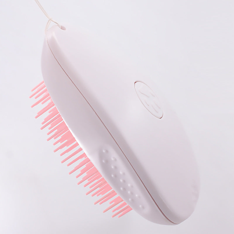 Brosse de Toilettage