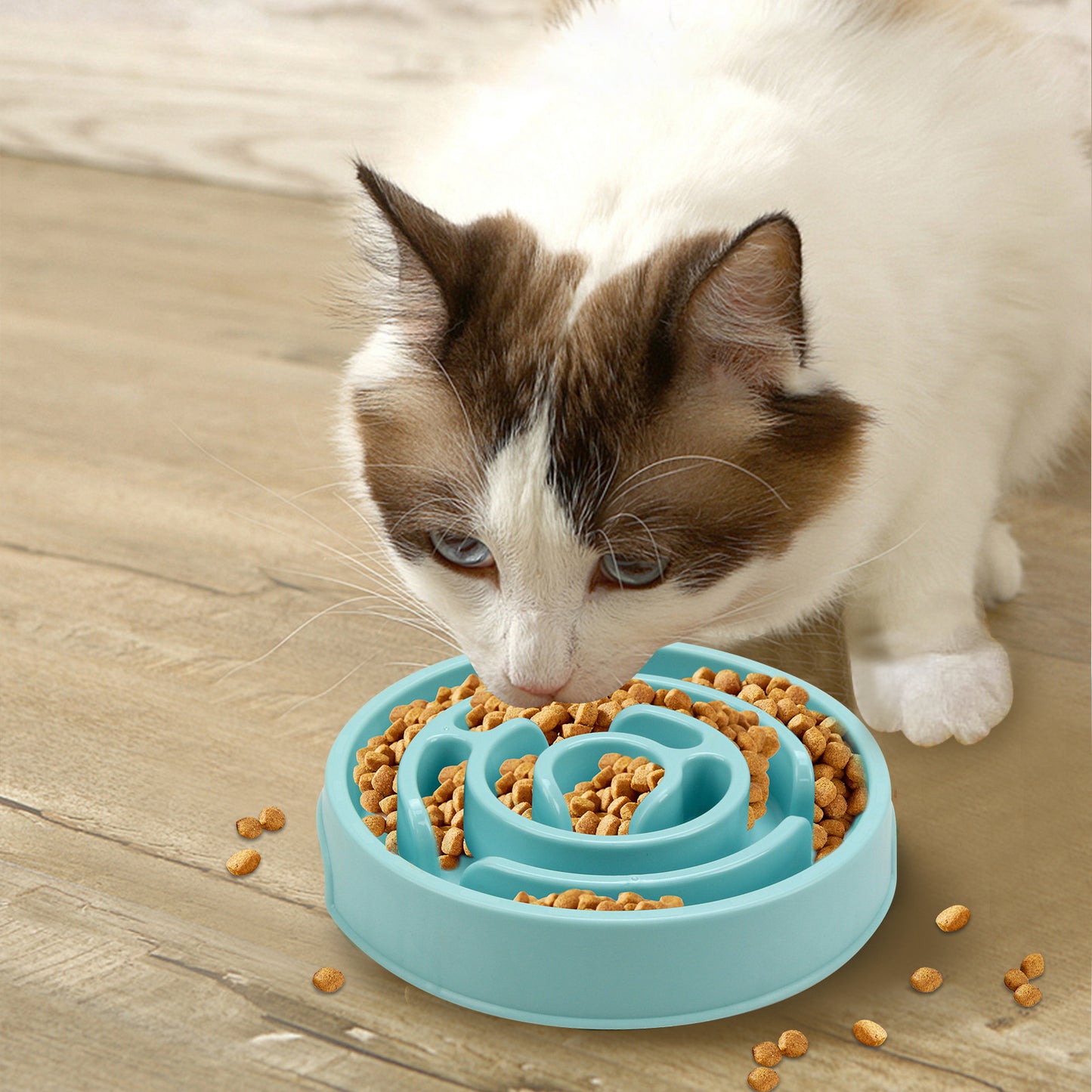Gamelles pour chien et chat à alimentation lente